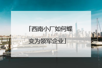 西南小厂如何蝶变为领军企业